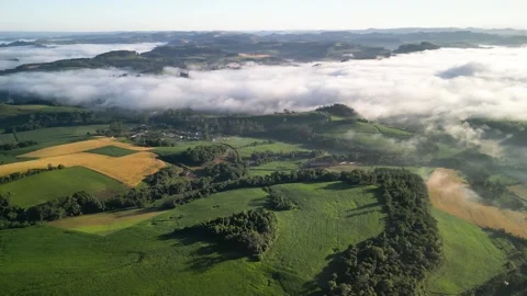 Drone footage of crops among the clouds. Green fields. Video stock 332260331
