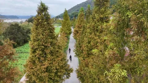 Drone footage of cyclists riding along tree lined park path during autumn Stock Footage 327691639