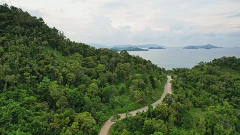Drone footage of dirt road in the jungle Stock Footage 244346653