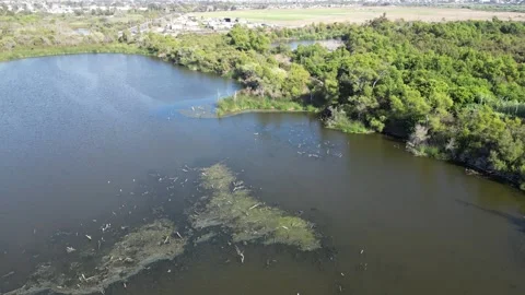 Drone Footage Documents Border Sewage Pollution Flowing to Ocean Stock Footage 327568742