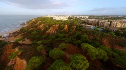 Drone footage of dramatic coastal cliffs with dense pine trees Video stock 346091258