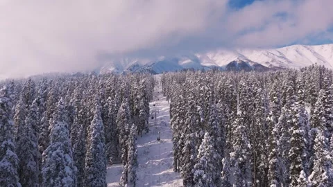 Drone footage of dramatic gondola crossing snow-dripped trees. Stock Footage 311946397