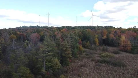 Drone Footage at the Edge of a Forest 스톡 동영상 145562048