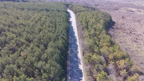 Drone footage of empty rural road through forest area 動画素材 330768680