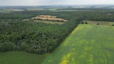Drone Footage Of The Fields In Rural Area Stock Footage 249285703