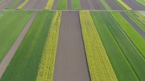 Drone Footage - Fields underneath with small town in the background Stock Footage 148743499