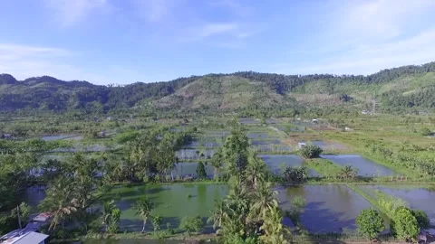 Drone Footage fishpond Stock Footage 247007648