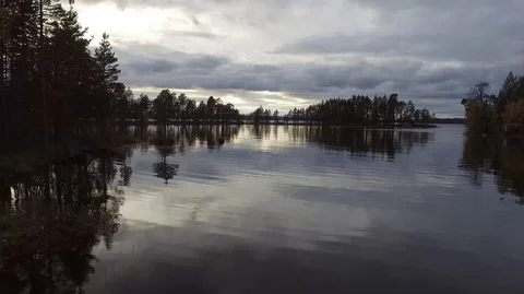 Drone Footage Fly Over Water of a Forrest Lake at Dawn Dusk Stock Footage 122242903