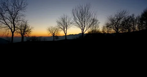 Drone footage flying between trees silhouette at sunset italian alps background Stock Footage