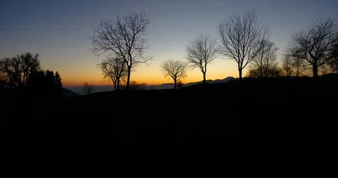 Drone footage flying between trees silhouette at sunset italian alps background 库存影片 117974248