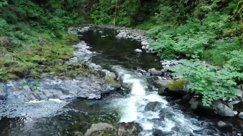 Drone footage flying forward over a woodland mountain stream.  Footage contains  Stock Footage 157455361