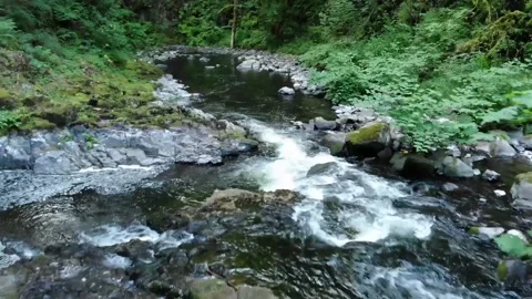 Drone footage flying in reverse over a woodland mountain stream.  Footage contai Stock Footage 157455370