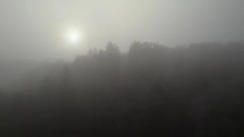 Drone footage flying through some trees in the fog, ending above the fog line 스톡 동영상 321810221