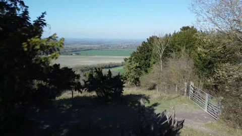 Drone footage flying through trees and over fields in the Chiltern Hills 스톡 동영상 238680732