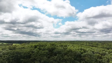 Drone footage flying vertically looking at a view of green trees in the woods an Stock Footage 280934292