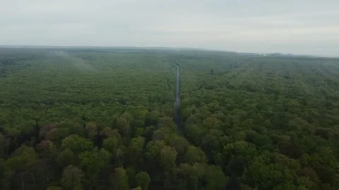 Drone Footage: Forest Road Vídeo Stock 280837553