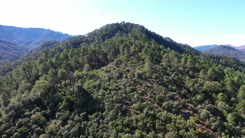 Drone Footage getting close to a mountain with green trees Sierra Cazorla Stock Footage 130185538