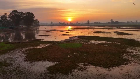 Drone footage of glowing water paths winding through green wetland patches at Stock Footage 310937682