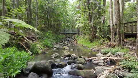 Drone footage going through the creek at Buderim Falls waterfall Stock Footage