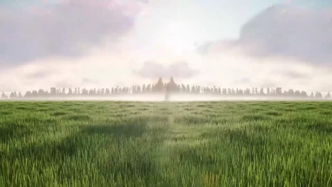 A Drone Footage of grass field Stock Footage 269816122