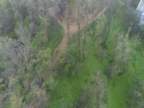 Drone Footage - Griffith Observatory Los Angeles Stock Footage 77051614