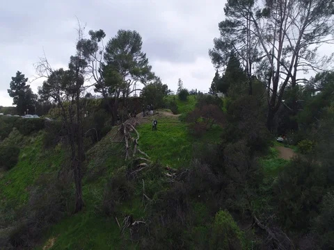 Drone Footage - Griffith Observatory Los Angeles Stock Footage 77051666