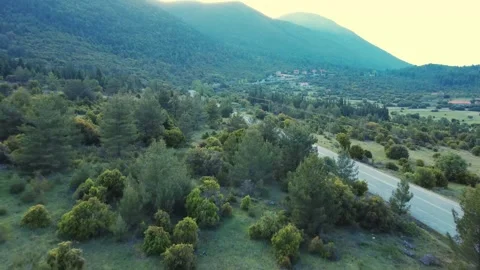Drone Footage of Highway Passing Between Fir Trees Stock Footage 312073777