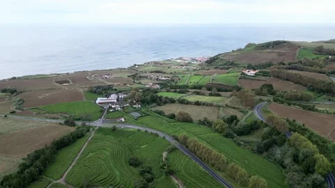 Drone footage hovering over lush tea fields, trees, and paths - Tea Plantation, Stock Footage 319856166