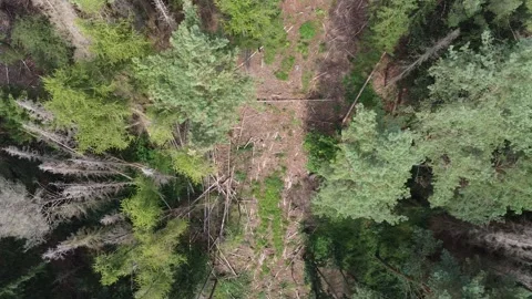 Drone Footage of Landscape Stock Footage 282191444