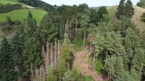 Drone Footage of Landscape Stock Footage 282191448