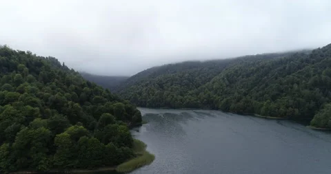 Drone footage of a large forest area with a lake in foggy and rainy weather Stock Footage 232883628