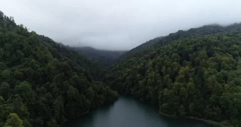 Drone footage of a large forest area with a lake in foggy and rainy weather Stock Footage 232884259