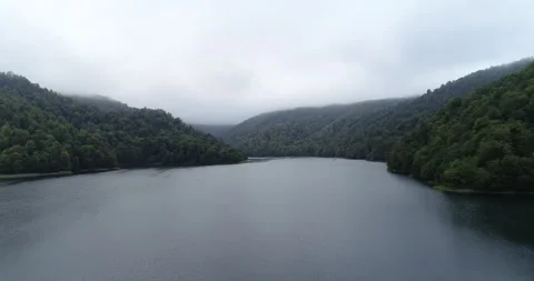 Drone footage of a large forest area with a lake in foggy and rainy weather Stock Footage 232888320