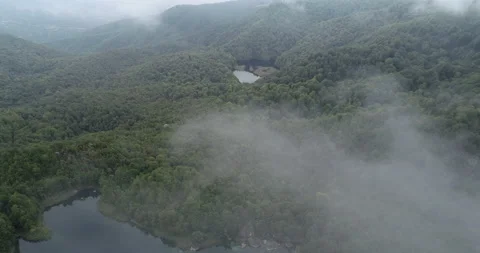 Drone footage of a large forest area with a lake in foggy weather Stock Footage 232909722