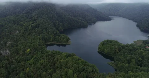Drone footage of a large forest area with a lake in foggy weather Stock Footage 232910012