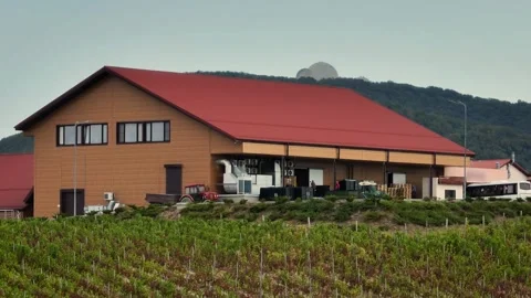 Drone footage of a large winery with a backdrop of mountains and vineyards. Stock Footage 268748259