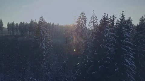 Drone footage looking down at the snow covered trees Stock Footage 113733054
