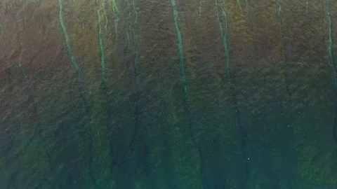 Drone footage looking down on a tropical reef and flying over palm trees Stock Footage 93781328