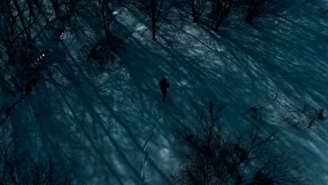Drone footage of man walking alone through snowy forest at night Video stock 314315608