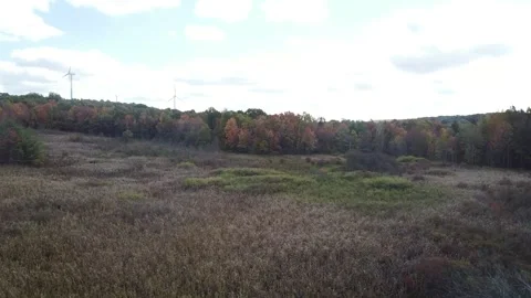 Drone Footage of a Meadow in the Fall Stock-Footage 145504640