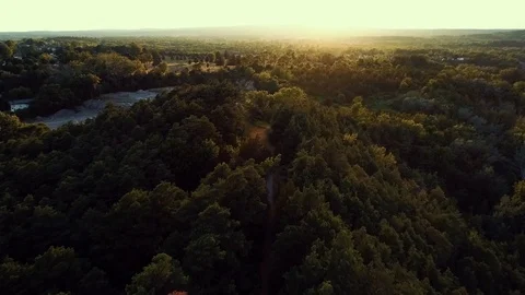 Drone Footage - Mountain Forest at Sunset Stock Footage