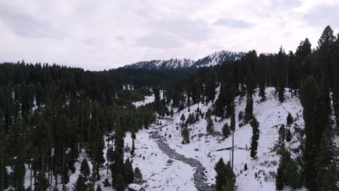 Drone footage of a narrow stream winding beautifully through snowy pine woods. Stock Footage 311793980