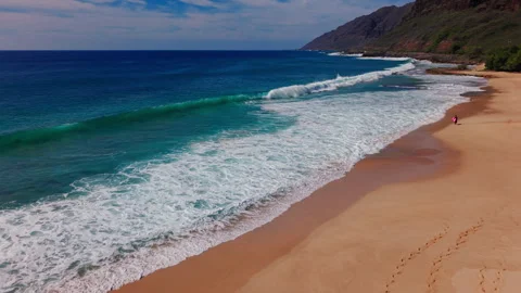 Drone Footage of Ocean Waves Rolling Onto Sandy Tropical Beach Stock Footage 325696083