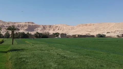 Drone footage of old Mortuary Temple of Hatshepsut in Upper-Egypt (Theben) Stock Footage 101100288