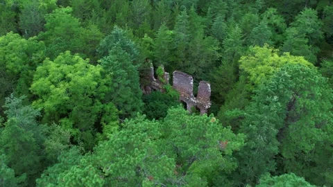 Drone footage of an old ruin inside a lush forest Stock Footage 285301847