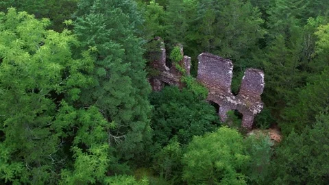 Drone footage of an old ruin inside a lush forest Stock Footage 285301879