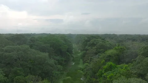 Drone footage over the Amazon River in Colombia Stock Footage 283866948