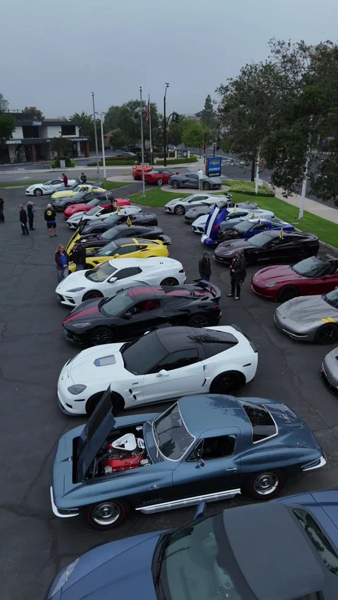 Drone footage over rows of Corvettes with hoods open at evening car meet Stock Footage 346730659