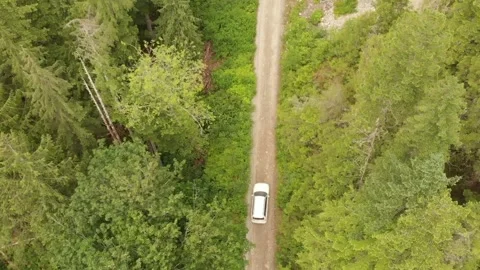 Drone Footage Over Trails. Video stock 165705443