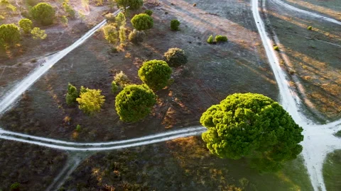 Drone footage over trees and multiple dirt roads. Stock Footage 166686985